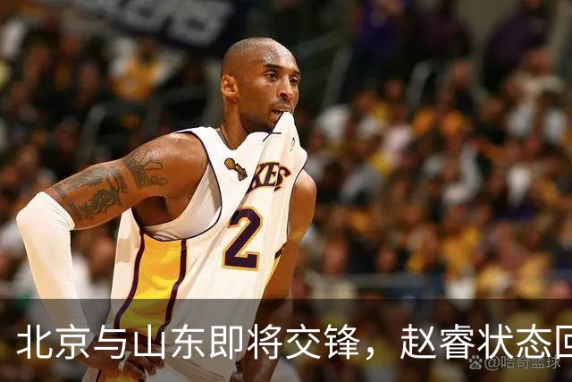 北京与山东即将交锋，赵睿状态回暖，高诗岩逐渐复健